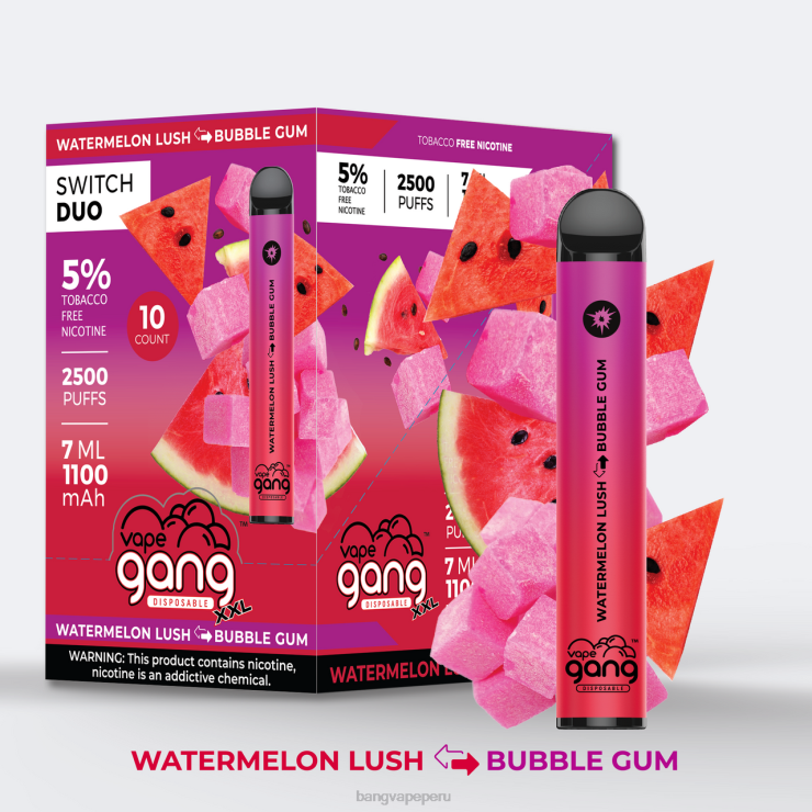 Vape Gang Switch Duo 2 sabores (caja de 10) - vape desechable Bang - sandía exuberante - chicle F8NHH49