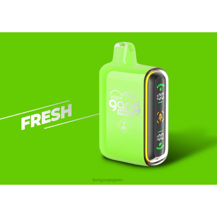 Vape Gang MEGA Vape desechable de 20.000 inhalaciones (caja de 5) - Bang Vape Lima - fresco F8NHH53