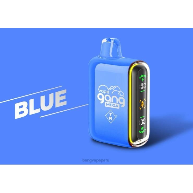 Vape Gang MEGA Vape desechable de 20.000 inhalaciones (caja de 5) - Vape Gang box - azul F8NHH52