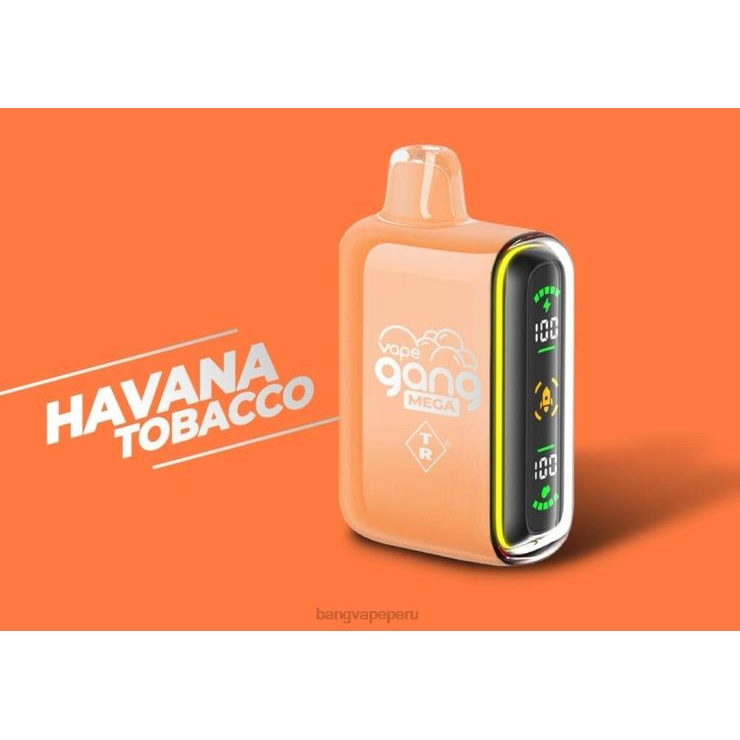 Vape Gang MEGA Vape desechable de 20.000 inhalaciones (caja de 5) - Vape Gang shop - tabaco habano F8NHH55