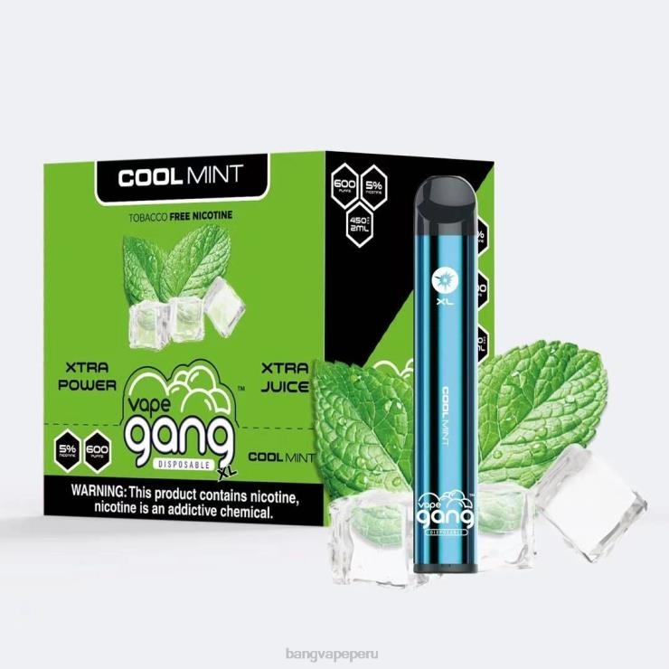 Vape Gang XL vaporizadores desechables 600 inhalaciones (caja de 10) - Bang Vape precio - menta fresca F8NHH79